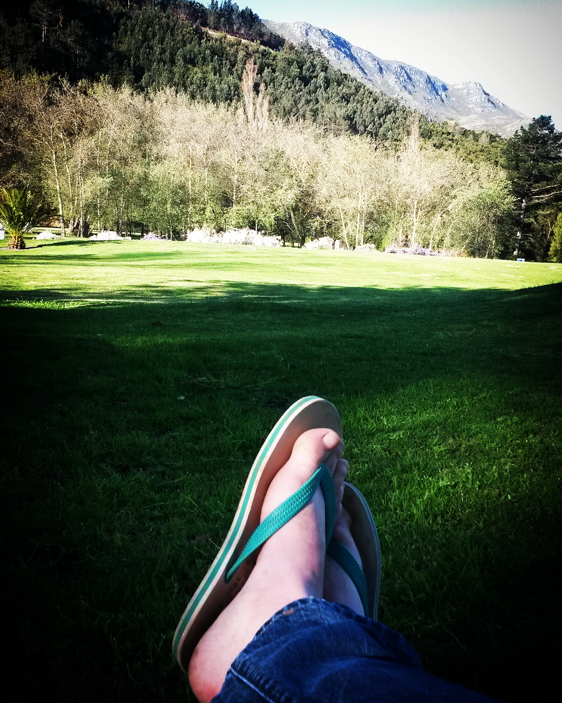 IMG_20170704_151710_614